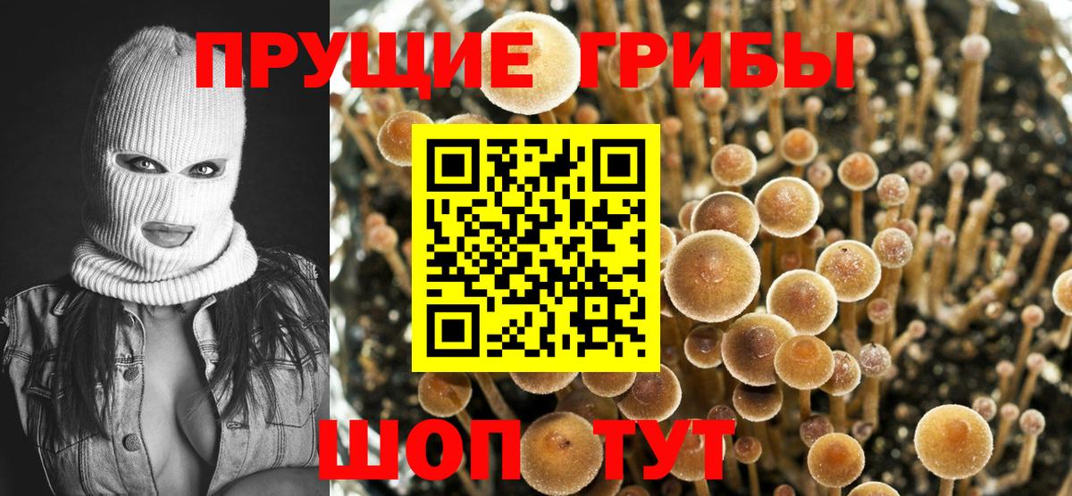 Псилоцибиновые грибы Magic Shrooms  Вход с VPN  Реутов  Галлюциногенные грибы мицелий 