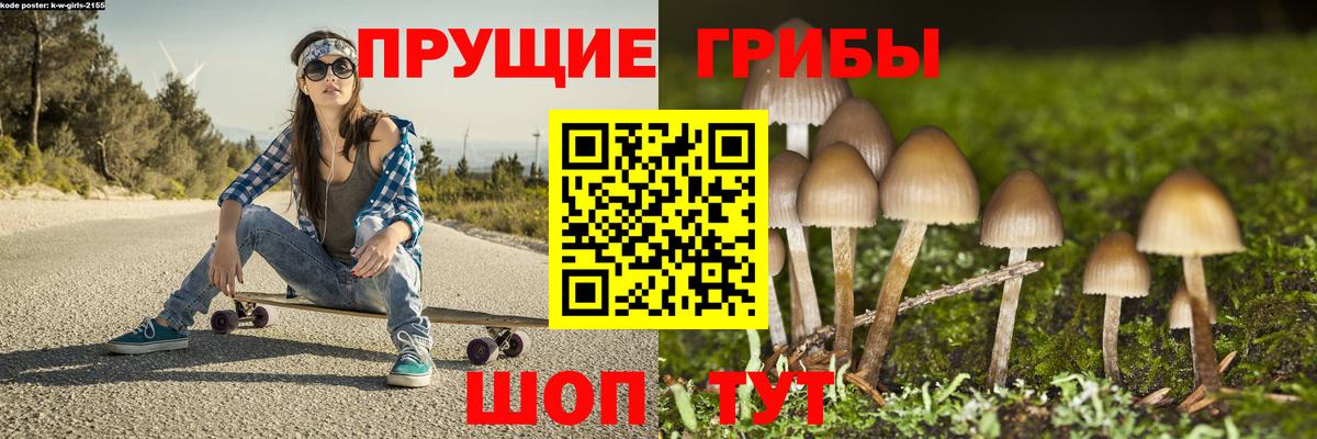 Галлюциногенные грибы Psilocybine cubensis Реутов